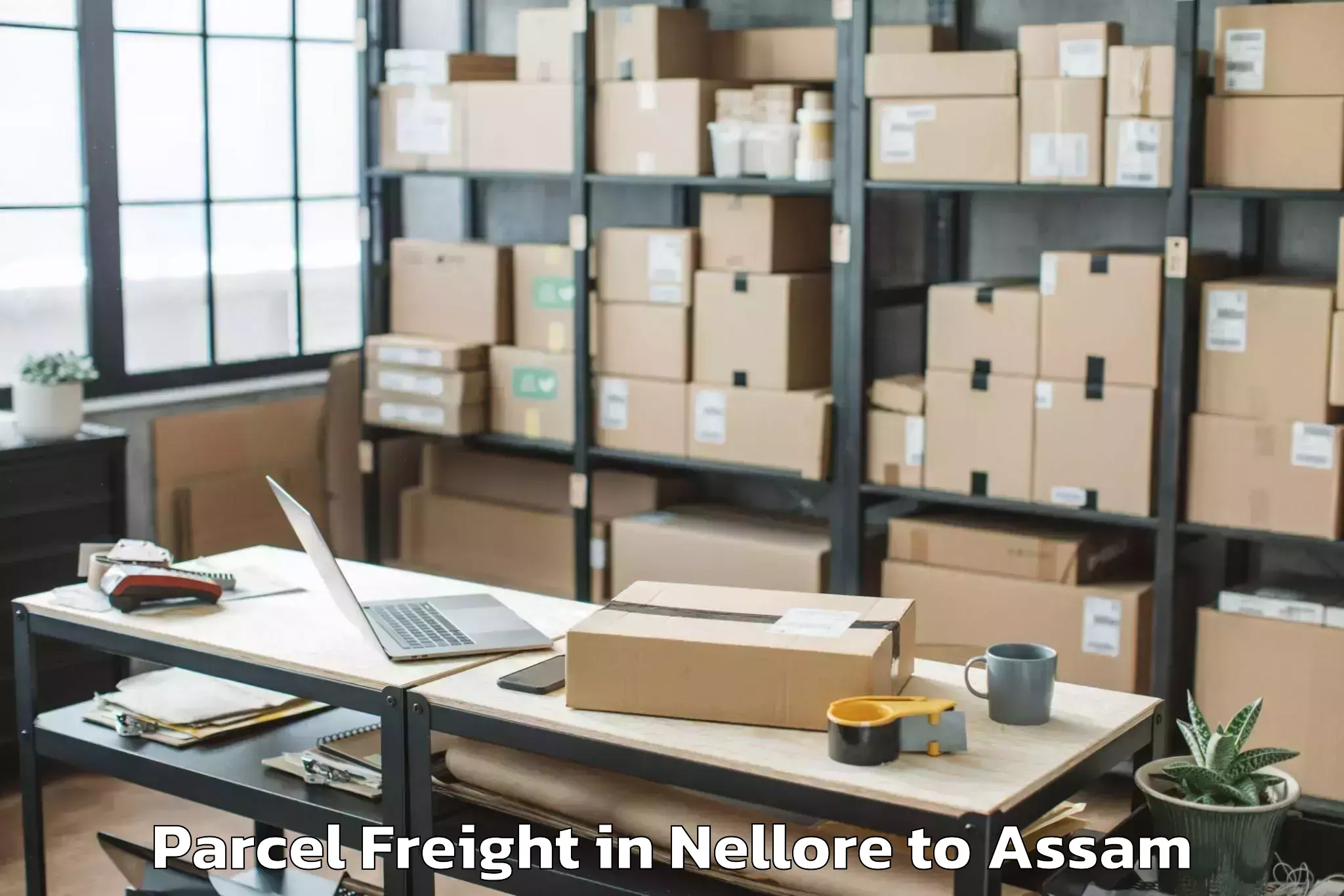 Book Nellore to Lumding Parcel Freight Online